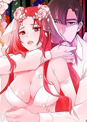 黑莲花攻略手册免费漫画新番上线